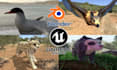 create 3d models , 3d animations , renders or video edit