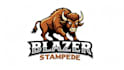 make buffalo mascot logo without any copyright concept