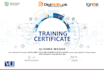 be your personal statistician, do supreme statistical project analytics reports