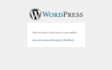 wordpress bug fixing and site error troubleshooting service