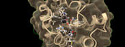 analyze molecular interactions via docking, MD, and dft