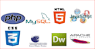 develop a custom responsive website using react, node, and postgresql