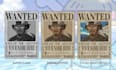 design your one piece anime wanted poster