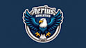 make eagle mascot logo in one day