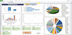create advanced dashboards, pivot charts, macros
