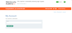 perform website vulnerability and penetration testing