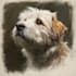do custom pet portrait, dog portrait, cat portrait