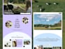a responsive business website
