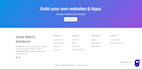 develop a professional wordpress website or blog