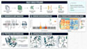 bioinformatics genomics proteomics evolution