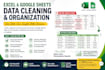 data cleaning, data analysis, and data formatting in excel