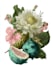 draw botanical illustrations of flowers