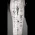 create geometric, fine line or micro realism tattoo design