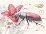 draw a scientific illustration