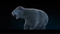 do realistic 3d animal animation, cgi animal model and rig, texture, fur, groom