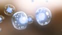 do medical animation and 3d medical explainer