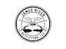 do modern super execlusive dove logo design