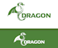 do modern wonderful dragon logo design