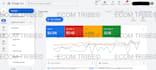 do 1 on 1 google ads consultancy