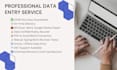 do professional data entry, excel, copy paste and web research