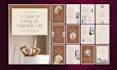 design canva ebook, workbook, lead magnet and PDF layout professionally