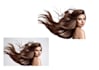 do easy images background removal using adobe photoshop