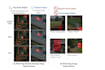 do ml models ai machine learning computer vision projects task