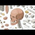 draw detailed medical illustrations