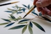 paint botanical and scientific illustrations