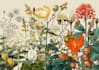 draw beautiful botanical plants and flowers