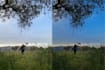 edit videos, translation, copywriting, caption