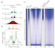 perform rnaseq, atacseq, or scrnaseq analysis with complete bioinformatics
