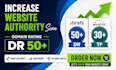 boost domain rating ,dr50, trust flow, tf30 with seo backlinks
