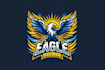 create high quality and beautiful eagle logo design