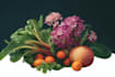 draw realistic plants, vegetables, fruits