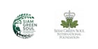 make a high quality green soul logo