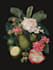 paint watercolour botanical illustrations