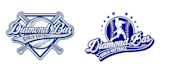 do make an proffesional softball logo