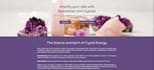design a professional wix website with responsive design
