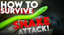 create viral faceless youtube documentry videos