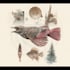 draw a scientific illustration