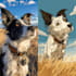 draw pet portrait into cartoon