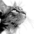 draw animal or pet vector in black and white