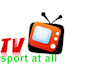 design a professional and modern TV or streaming logo for your brand