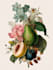 paint watercolour botanical illustrations