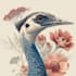 draw animal and botanical illustrations