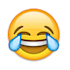 make you laugh with a funny joke