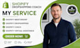 be your shopify guide, dropshipping coach dropshipping mentor shopify consuitant