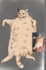 silly drawings for ur pets