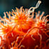 be your knowledgeable microbiologist to help with your project